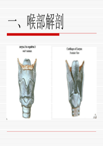 气管插管教学PPT