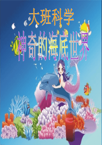 大班科学：海底世界