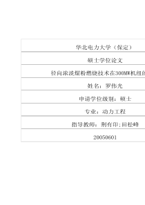 径向浓淡煤粉燃烧技术在300MW机组的应用