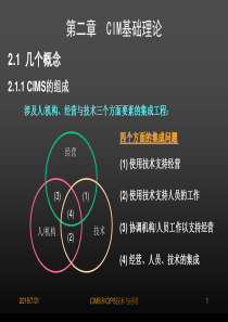 CIMS和CIPS技术与应用课程2