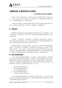 徽淮南矿业集团网络分析案例