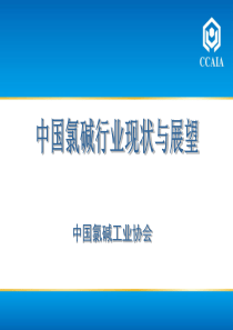 中国氯碱行业现状与展望汇报材料