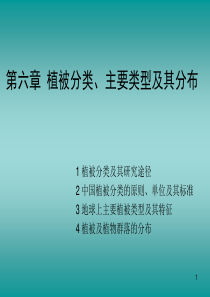 植被分类主要类型及其分布