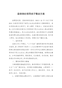 县供销社领导班子整改方案