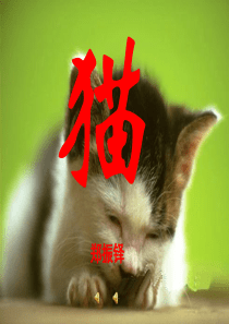 26课《猫》