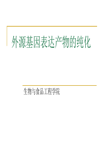 14 外源基因表达产物的纯化