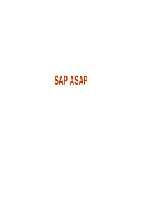 SAP_ASAP_Roadmap实施路线