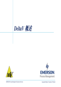 Deltav_7009中文资料剖析