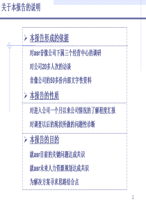 某大型连锁企业人力资源诊断报告