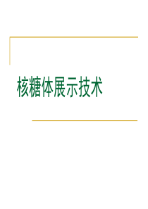 核糖体展示技术