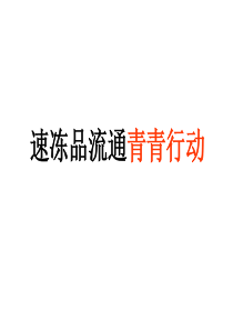 速冻流通食品销售企划案(馄饨、水饺)