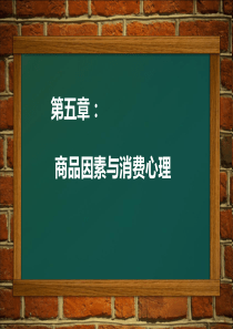 消费心理学第五章剖析