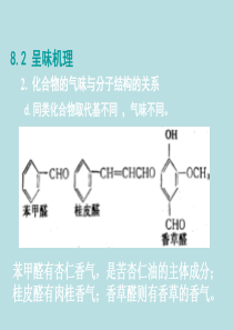 食品风味2