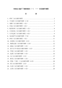 新选矿厂安全操作规程和新修改安全规程