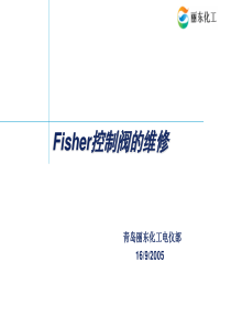 Fisher 阀门的结构与维修