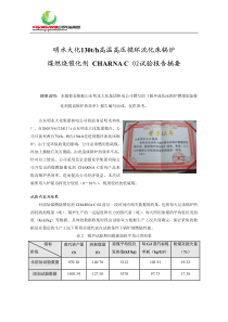 明水大化130th高温高压循环流化床锅炉煤燃烧催化剂CHAR