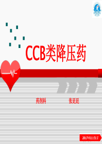 CCB类降压药