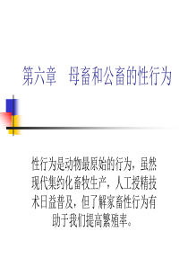 第六章  母畜和公畜的性行为