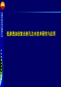 多脉冲复合射孔注水技术研究与应用