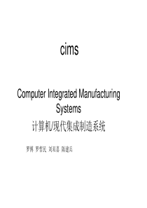 cims有关的少许总结