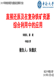 朱德庆、潘健--直接还原及在复杂铁矿资源综合利用中的