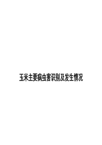 玉米主要病虫害识别及发生情况