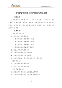 某地质矿产勘查开发局组织机构及各类管理规定(doc109)