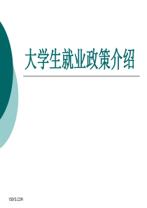 应届毕业生就业政策及实践案例