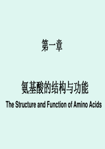 氨基酸的结构和功能