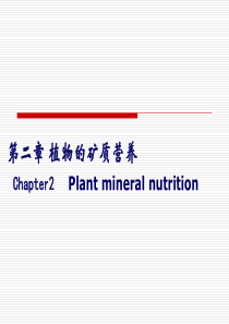 植物生理第二章植物的矿质营养