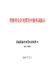 青海省会计电算化中级考试演示