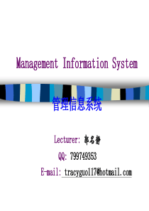 Management Information System(Chapter1-2)管理信息系统双语教