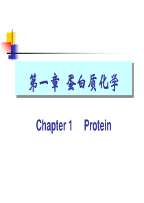 2 蛋白质的结构和功能