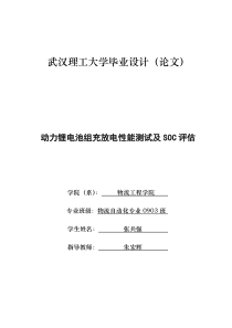 动力锂电池组充放电性能试及SOC评估