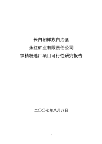 永红矿业有限责任公司可研报告