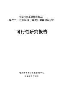 年产二十万吨环保(煤泥)型煤建设项目可行性研究报告