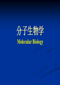 分子生物学绪论-2015-2016学年