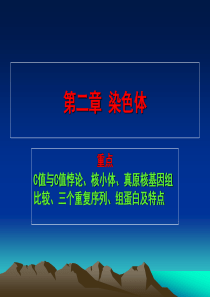 分子生物学课件 第二章 染色体