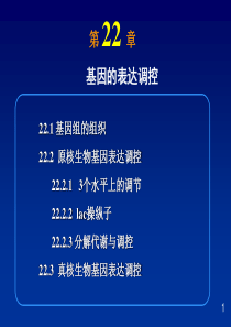 22基因的表达调控