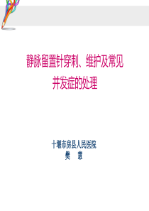 静脉留置针穿刺、维护及常见并发症的处理