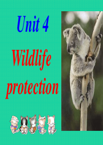 高中英语 Wildlife protection 课件