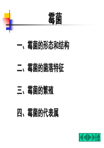 微生物(霉菌)