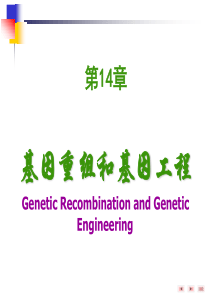 第14章基因重组和基因工程