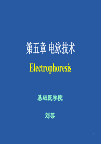 3 电泳技术(基础医学与医学实验技术)