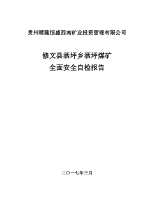 洒坪煤矿全面安全自检报告