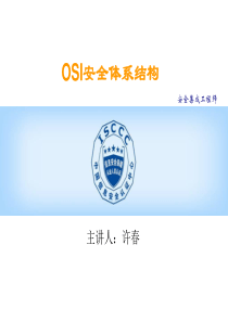 OSI安全体系结构