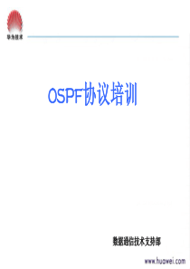 OSPF 协议培训