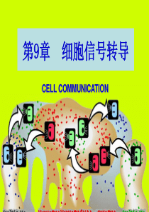 细胞生物学课件第九章细胞通信和信号