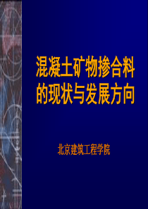 混凝土矿物掺合料的现状及发展方向