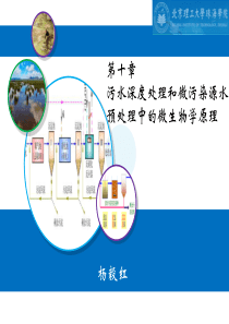 YYH-第十章 污水深度处理和微污染源水预处理中的微生物学原理